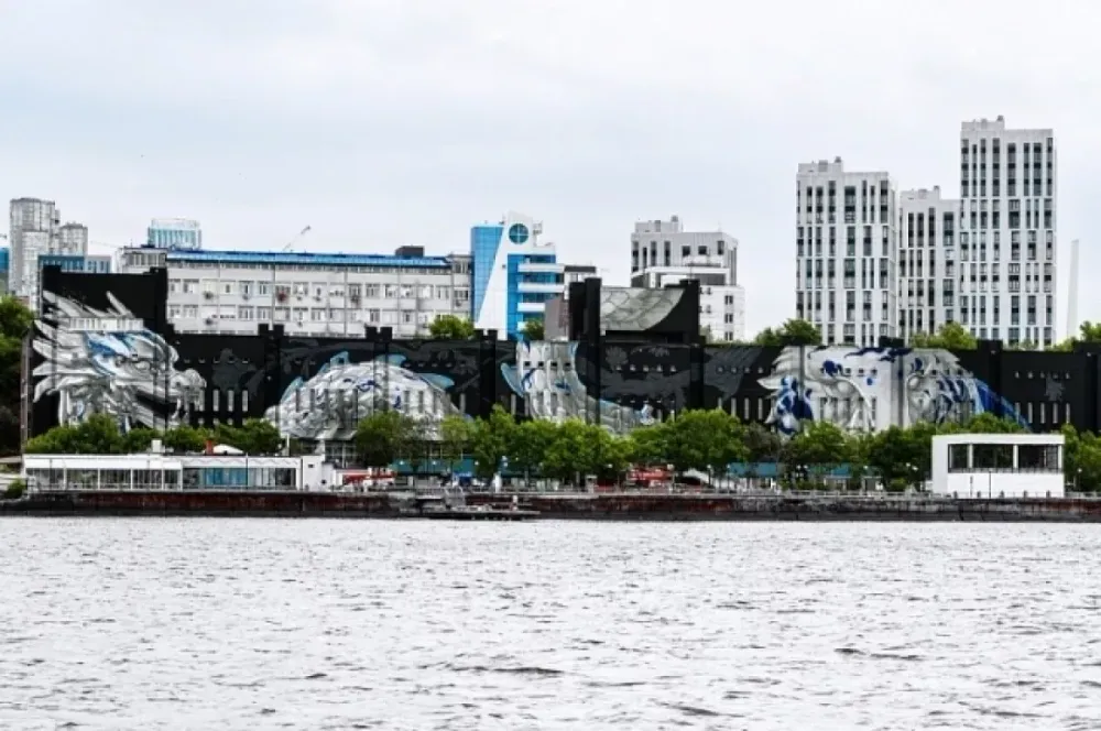 Владивосток: Китайский художник создал самый большой мурал в городе